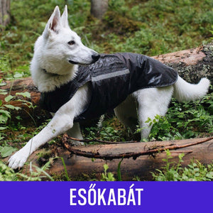ESŐKABÁT