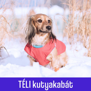 TÉLI KUTYAKABÁT