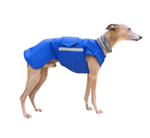 Whippet télikabát - Standard