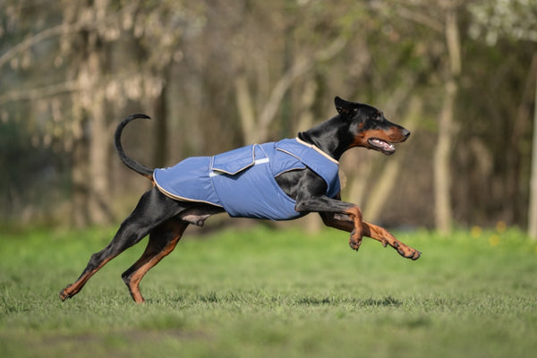 DOBERMANN EXTRA MELEG TÉLI KUTYAKABÁT / EGYEDI MÉRETRE