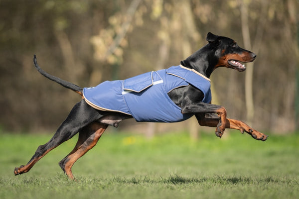 DOBERMANN EXTRA MELEG TÉLI KUTYAKABÁT / EGYEDI MÉRETRE