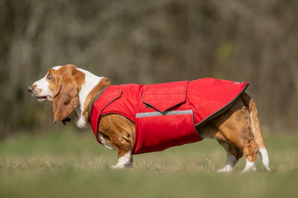 BASSET HOUND EXTRA MELEG TÉLI KUTYAKABÁT / EGYEDI MÉRETRE