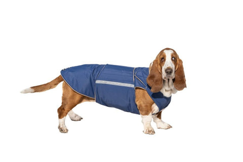 Basset Hound télikabát - Standard