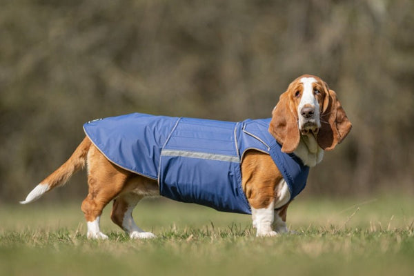 BASSET HOUND TÉLI KUTYAKABÁT / EGYEDI MÉRETRE