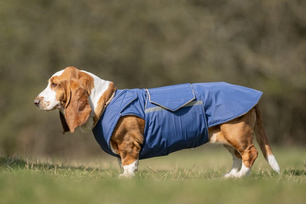 BASSET HOUND TÉLI KUTYAKABÁT / EGYEDI MÉRETRE