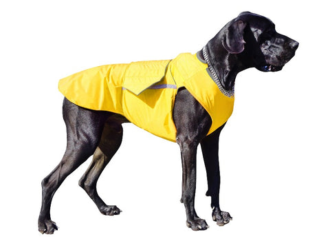 Dog esőkabát - Standard