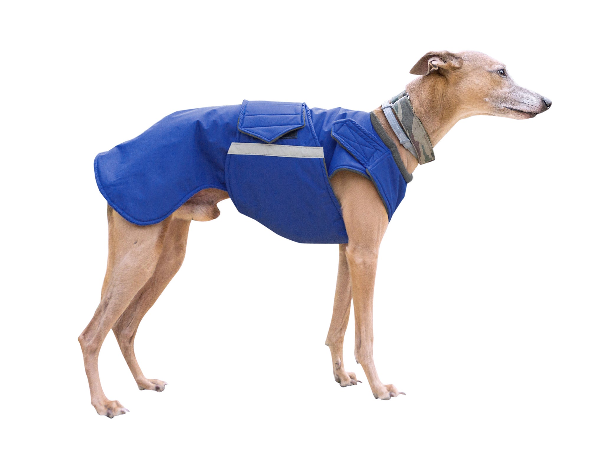 Whippet esőkabát - Standard