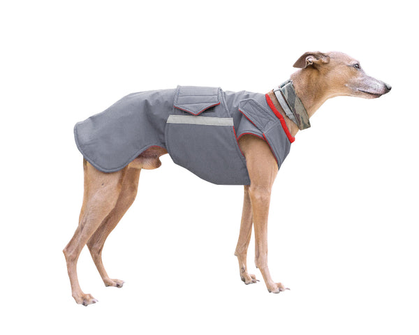 Whippet télikabát - Standard