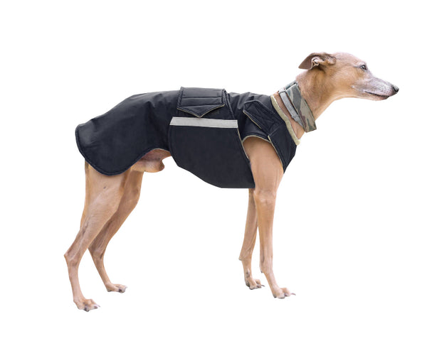 Whippet télikabát - Standard