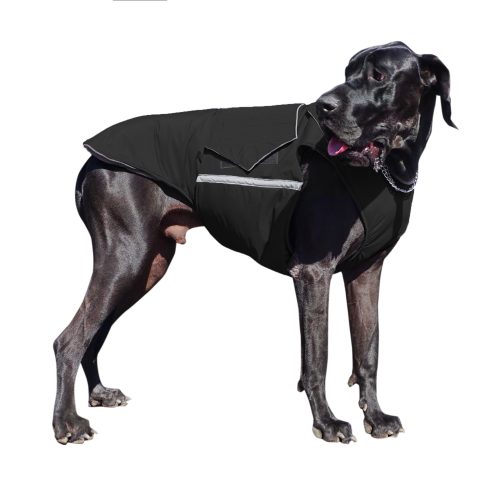 Dog télikabát - Standard