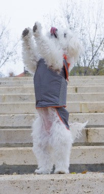 ZaZa Kutyaruha bichon vízálló téli kutyakabát egyedi méretre