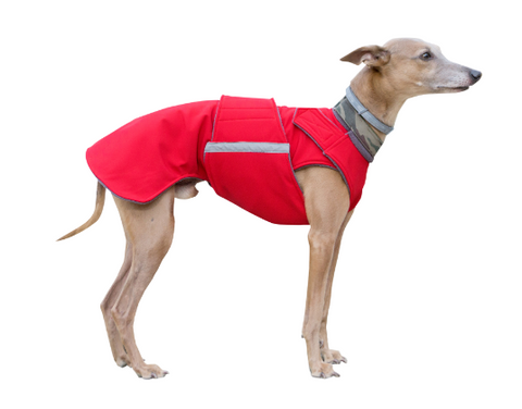 Whippet kabát, meleg vízálló, állitható kutyakabát egyedi méretre, kutyaruha varróműhely Budapest